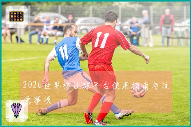 2026世界杯让球平台使用指南与注意事项