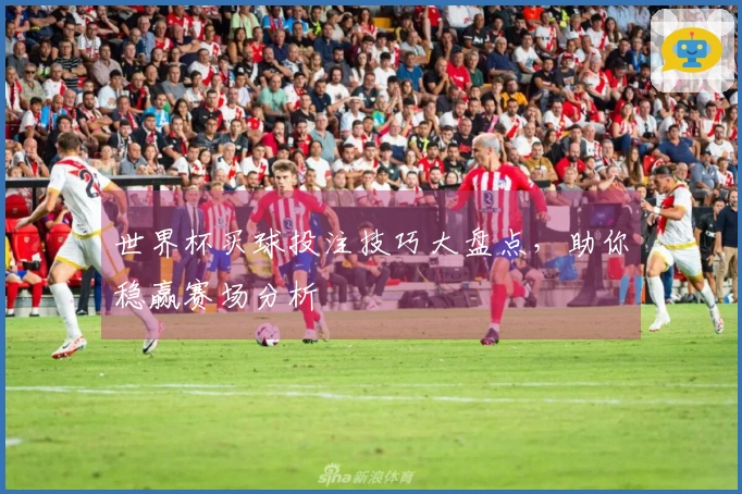 世界杯买球投注技巧大盘点，助你稳赢赛场分析