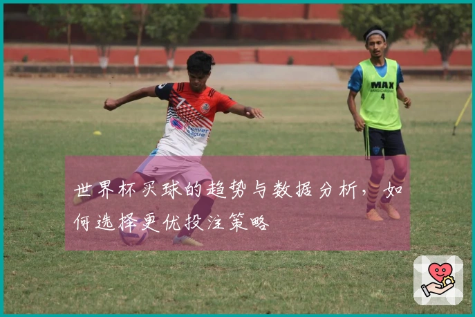 世界杯买球的趋势与数据分析，如何选择更优投注策略