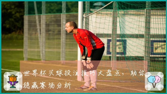世界杯买球投注技巧大盘点，助你稳赢赛场分析