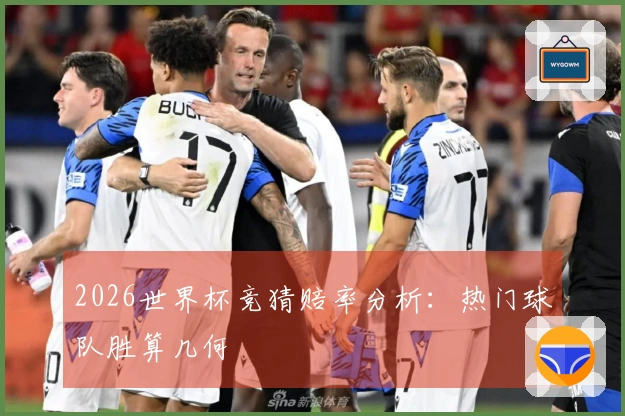 2026世界杯竞猜赔率分析：热门球队胜算几何