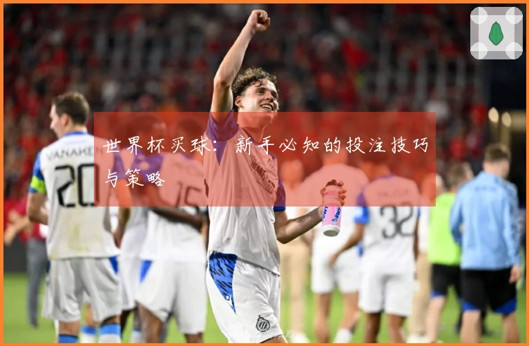 世界杯买球：新手必知的投注技巧与策略