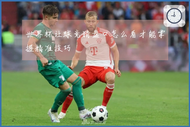 世界杯让球竞猜盘口怎么看才能掌握精准技巧