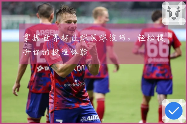 掌握世界杯让球买球技巧，轻松提升你的投注体验