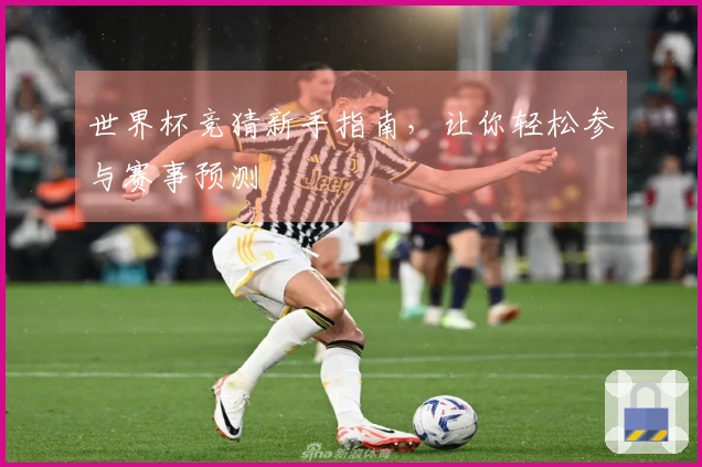 世界杯竞猜新手指南，让你轻松参与赛事预测