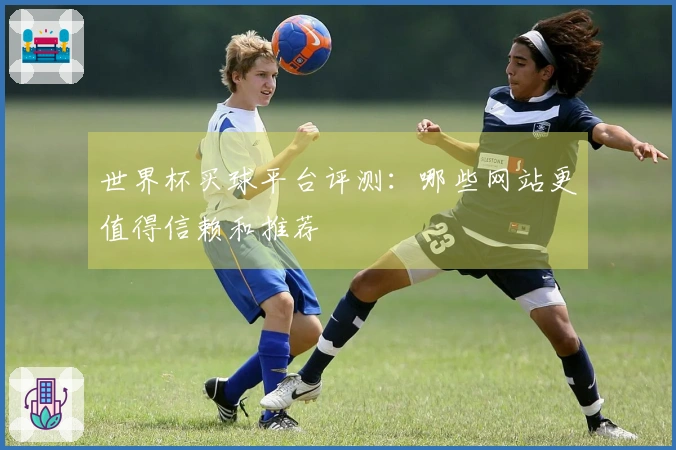 世界杯买球平台评测：哪些网站更值得信赖和推荐
