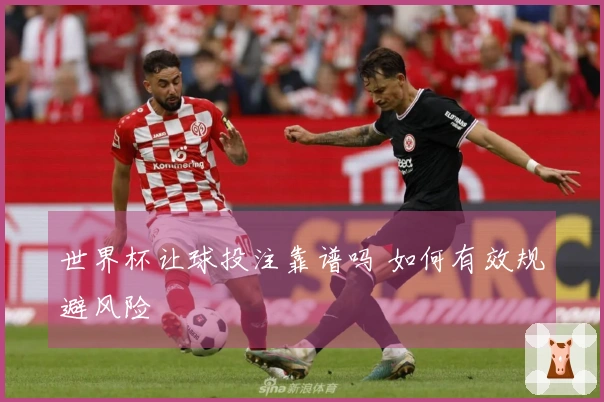世界杯让球投注靠谱吗 如何有效规避风险