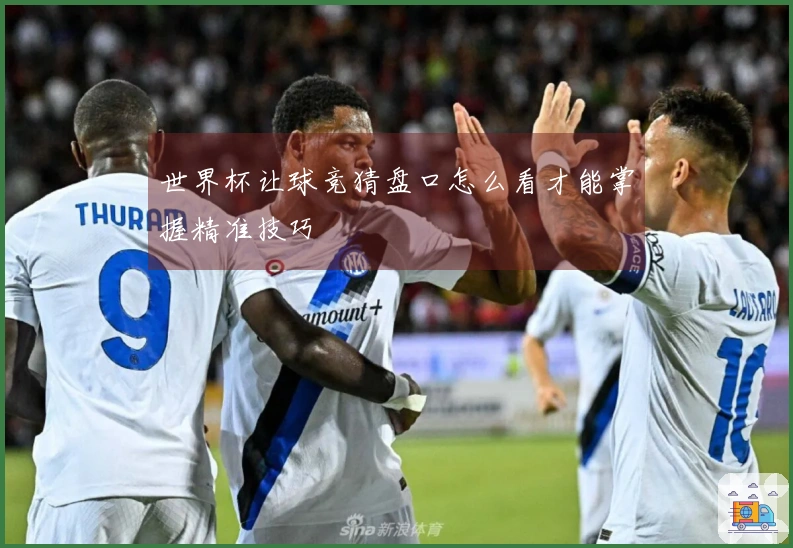 世界杯让球竞猜盘口怎么看才能掌握精准技巧