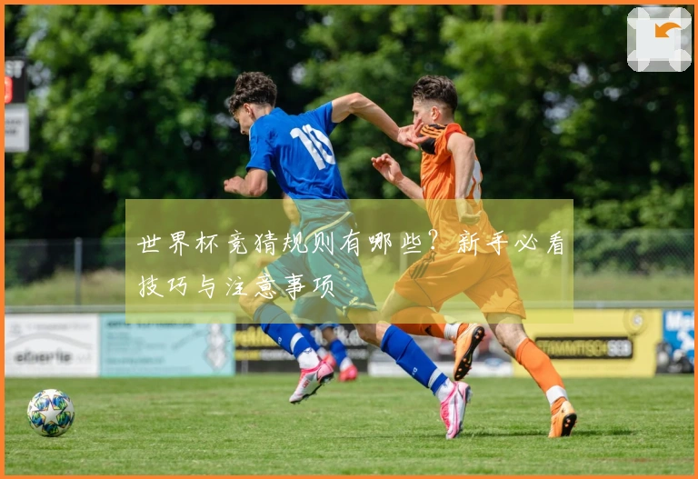 世界杯竞猜规则有哪些？新手必看技巧与注意事项