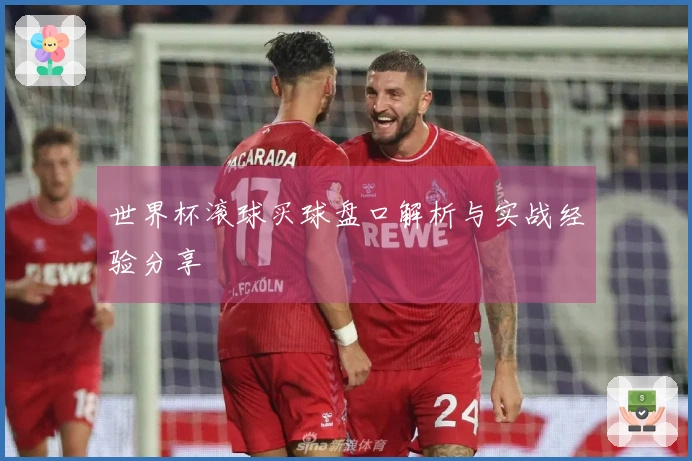世界杯滚球买球盘口解析与实战经验分享