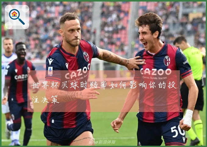世界杯买球时赔率如何影响你的投注决策